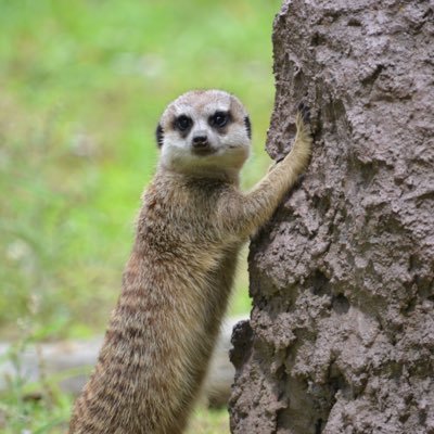 pbt9MTHCgR59850's profile picture. 黙らない、わきまえない  #stopfeminicides