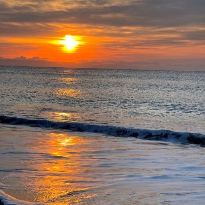 7734__yuji's profile picture. 前垢@773recordsが謎の凍結されたので新しく！プードルです！サーフ、SUP、アジングがメインで釣りしてます🎣2024年10月〜ClearBlueフィールドモニター