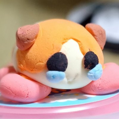 누파さんのプロフィール画像