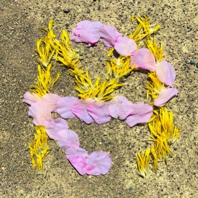 nana64803610031's profile picture. RYUKIくんをただただ応援したい。6.11個サ7.17ｲﾝｽﾊﾟｲｱ 8.14ﾌｧﾝﾐ昼9.3RSJ9.9ｵﾝﾗｲﾝﾐｰｸﾞﾘ10.15ｲﾉﾌｪｽ11.2お見送り11.3ﾊﾞｽﾞﾘｽﾞﾑ1.16BEATAX3.3ﾐｰｸﾞﾘ5.2お見送り6.15仙台7.4ｶﾞｰﾃﾞﾝｼｱﾀｰ7.27🍑10.2 10.1912.1