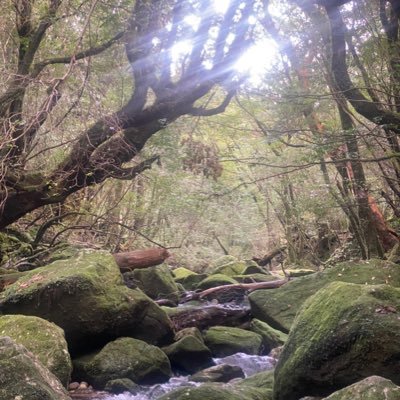 eiichiro27579's profile picture. 