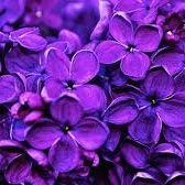 Abdulla13192026's profile picture. 