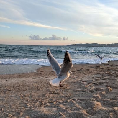 For my own sanity I let shit be.
About me- Too good to be real!