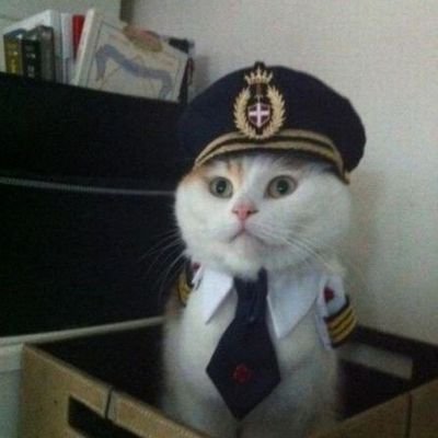 DegenP0x's profile picture. Where are we aping bois. Chilling on the Degen Chain