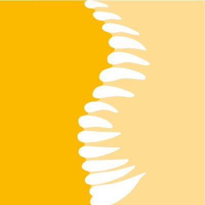 Institut Català de Paleontologia Miquel Crusafontさんのプロフィール画像