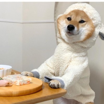 lemon_coconuts's profile picture. 