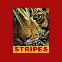 Stripes Entertainment(@stripesent) 's Twitter Profile Photo