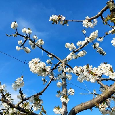 Χωρίς κόμμα με πατρίδα και πίστη και με οργή για ότι μου χαλάει τον κόσμο μου και το βαφτίζουν πρόοδο και εξέλιξη