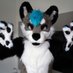 Ice (@ice_wuff) Twitter profile photo Ice (@ice_wuff) Twitter profile photo