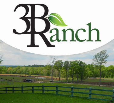 3BRanchCT's profile picture. We are a grower of certified organic fruits and vegetables along with naturally raised cattle, buffalo and swine. A sister company to @JohnsRefuse & @Globalrcy!