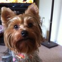 Colin Burrows - @buz69 - Twitter