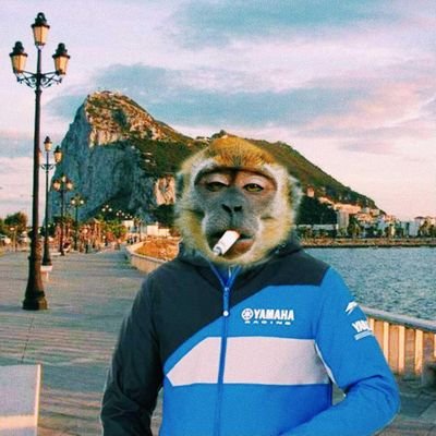 ElPiojosoloco's profile picture. 