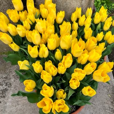 Sassy62579173's profile picture. 