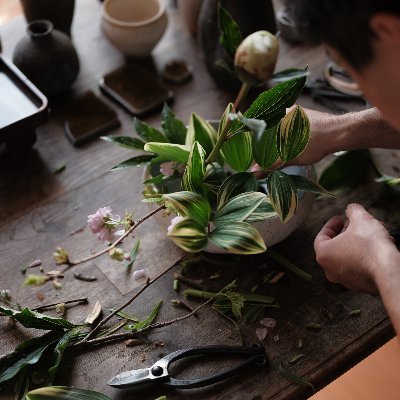 週末だけのいけばな作家。京都市内での挿花承ります。いけばなワークショップもご相談ください。連絡先はこちら💁‍♂️adachi.042642@gmail.com