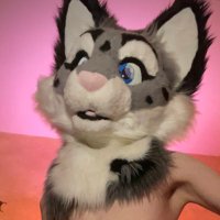 Swag Cat!🔜🏠! (@swagcatad) 's Twitter Profile