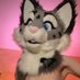 Swag Cat!🔜🏠! (@swagcatad) Twitter profile photo Swag Cat!🔜🏠! (@swagcatad) Twitter profile photo