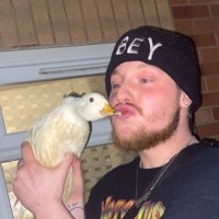 Albie Taylor (@albsterboing) 's Twitter Profile