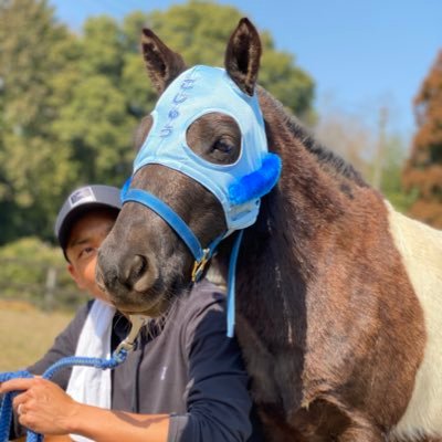 馬好きで引退馬2頭とポニー2頭を飼ってます！銀座いわきや5代目。銀座と横浜で馬好きな呉服屋！ 会社名は→いわきやhttps://t.co/6KOBRpUqSc愛馬のエピを家族として愛す。地方馬主。エピ・クロエ・ヨタ・エースの愛馬達が家族。『着物と馬を結ぶ活動家』です！日本でただ1人の。