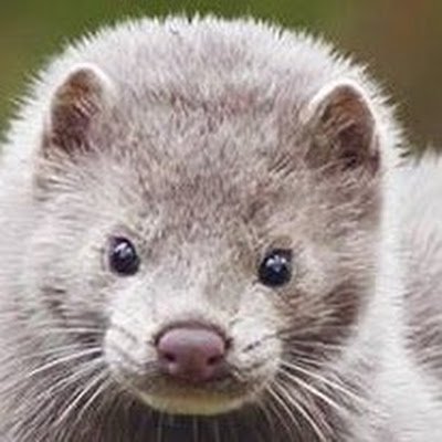 shirasukun0625's profile picture. 