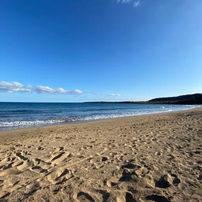 Dedecaps94's profile picture. 