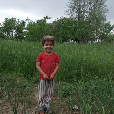 khzor33552's profile picture. 