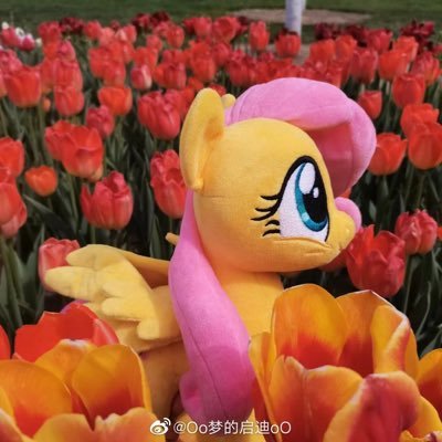 Everie/梦/启迪 || Love sewing, plushies, MLP, Peanuts, and animals. || Learning how to become a plush artist from NKPlush.