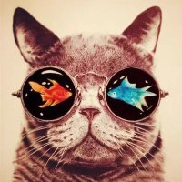 Shawn (@shawn_defi) 's Twitter Profile Photo