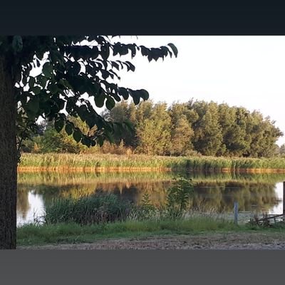 wavdmale's profile picture. #daddyoftwo #crypto #dreamer