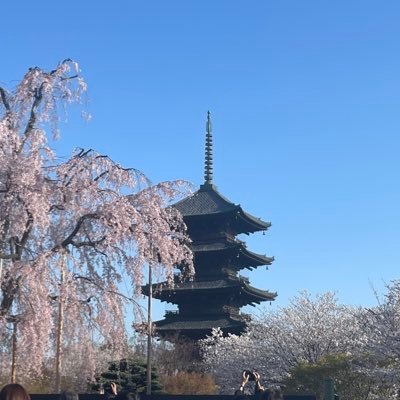 ゆうすけ🐙⭐️@蜜柑組経理担当