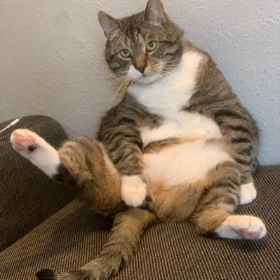 Zed7117's profile picture. 