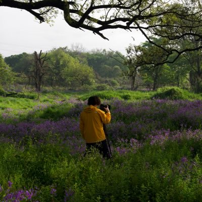 Fukushima🇯🇵 JPN landscape photography