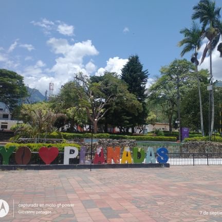 GIOVANNYPENAGO8's profile picture. 😀