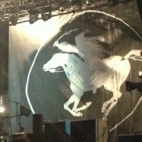 Andy54 (@no_eulogies) 's Twitter Profile Photo Andy54 (@no_eulogies) 's Twitter Profile Photo