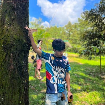 xamxam451056's profile picture. 