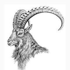 abbas_shyok's profile picture. Nation First | Indian