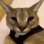 D0r1_1k's profile picture. carlos sainz fan