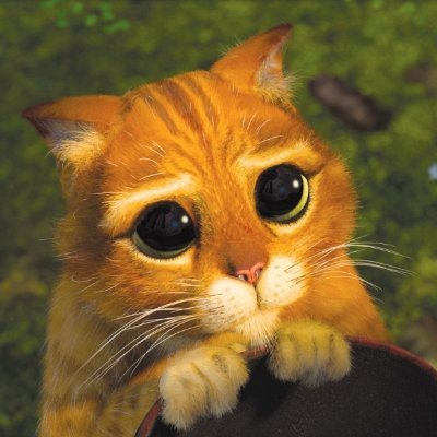 lug_empty's profile picture. .