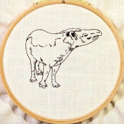 動物園散歩人さかいともこ（@pasear_al_zoo）の制作アカウント。おもに動物の刺繍をしています🪡🧵