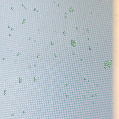 2sciencenerds's profile picture. I’m infected with the realisms of society