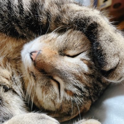 8MARU39_4U's profile picture. ふぉ〜ゆ〜♨️❤️💚💛💜