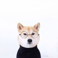 UT (@usj_cpa) Twitter profile photo