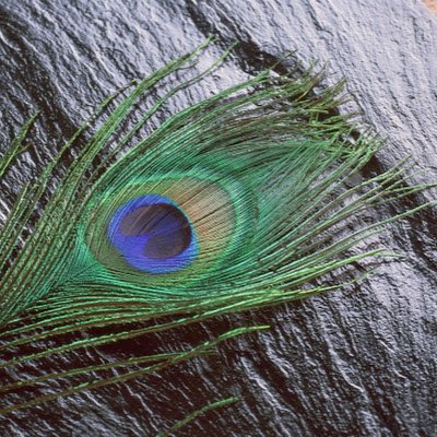 SankaryS30331's profile picture. 