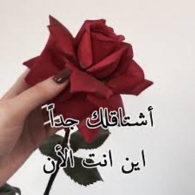 مدرس لغه انجليزيه. بالدمام. خبره طويله بالملكة