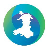We are the Wales Net Zero 2035 Challenge Group, invited by Welsh Government and Plaid Cymru to explore how the country can speed up its transition to net zero.