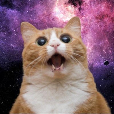 timupch's profile picture.