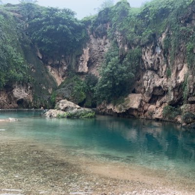 52Hsd's profile picture. 