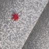 tat_arctan8945's profile picture. すっとこどっこい大学生ドキュメンタリー上京編