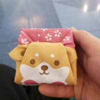 たけし(@undersyrus1996) 's Twitter Profile Photo たけし(@undersyrus1996) 's Twitter Profile Photo