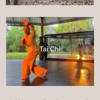 David Ryan (@maesterdavid) 's Twitter Profile