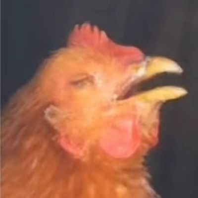 nanshenqia45593's profile picture. 